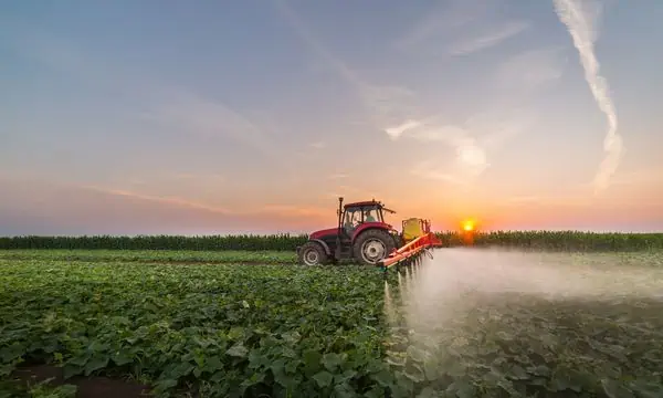 pesticide Paraquat being sprayed on crops