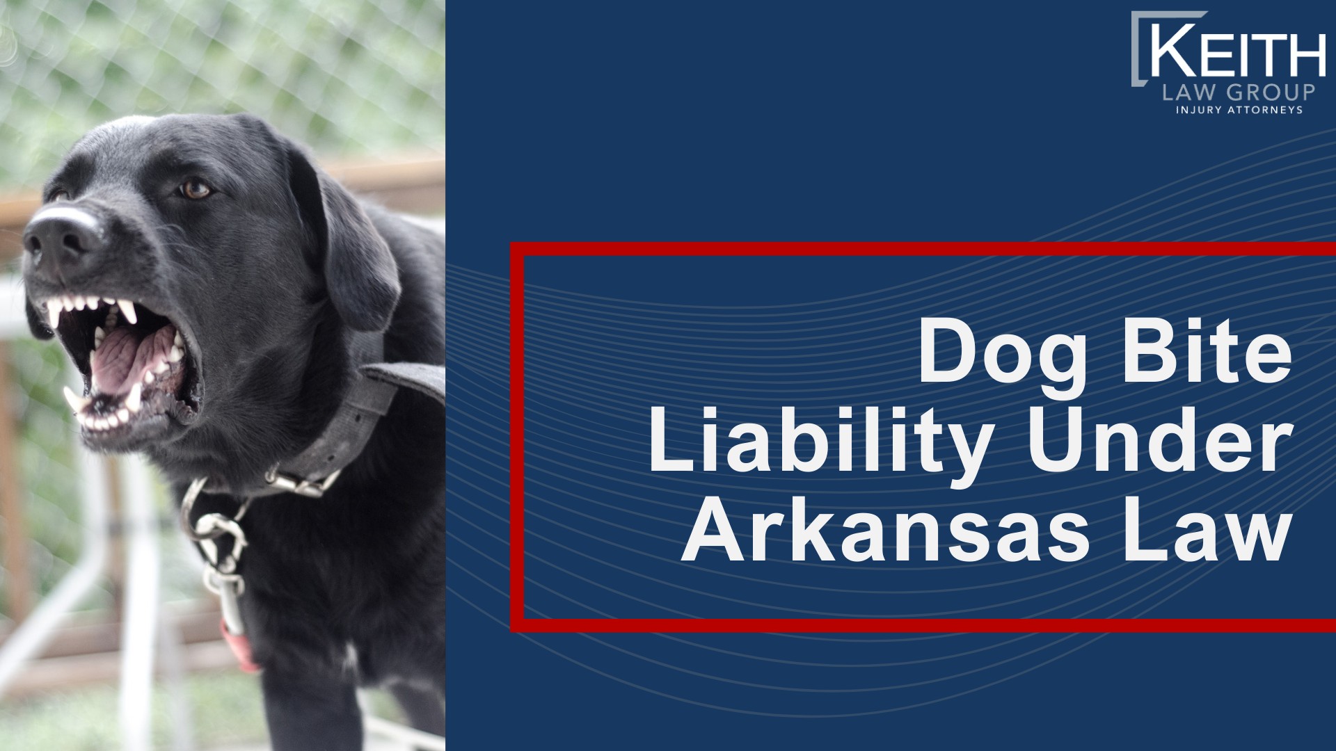 Our Personal Injury Lawyers Handle Dog Bite Cases in and Around Rogers, AR; Dog Bite Liability Under Arkansas Law