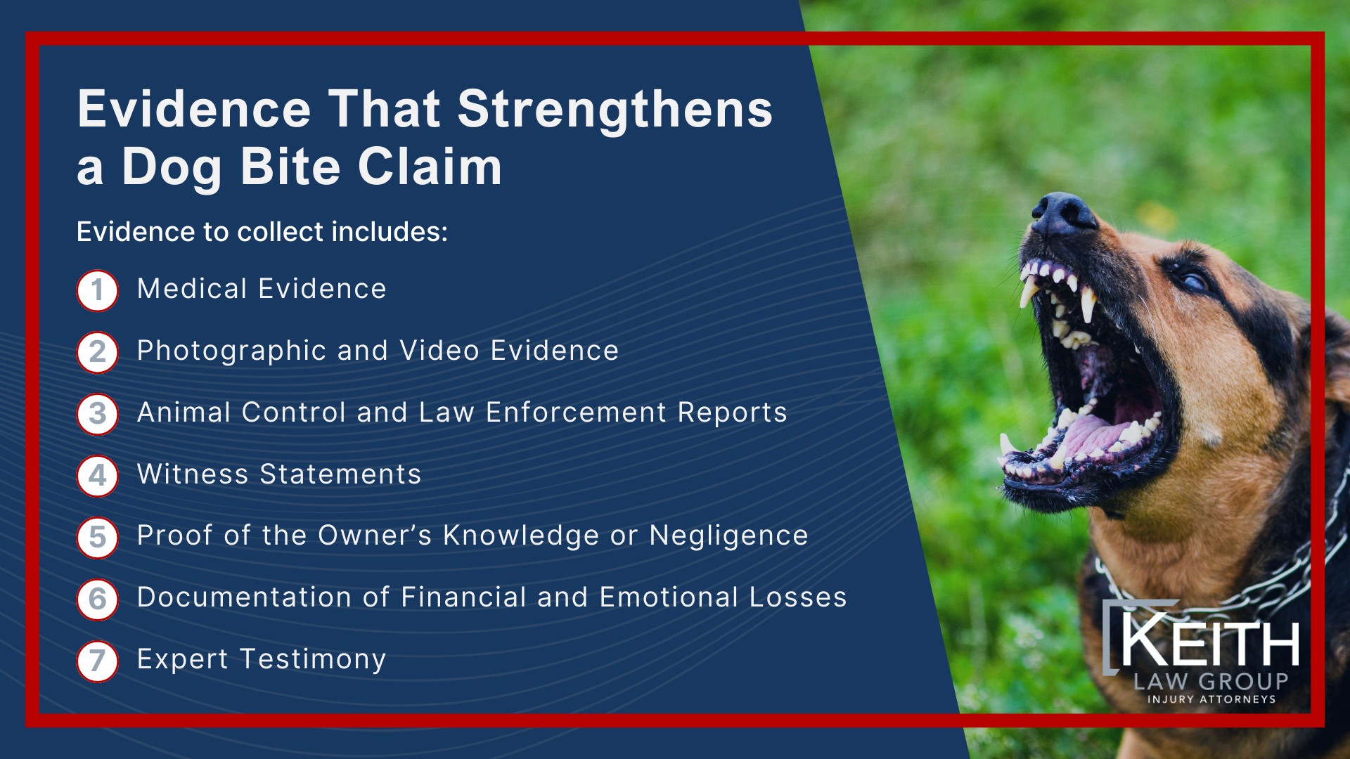 Our Personal Injury Lawyers Handle Dog Bite Cases in and Around Rogers, AR; Dog Bite Liability Under Arkansas Law; Common Injuries From Dog Bite Incidents; Evidence That Strengthens a Dog Bite Claim