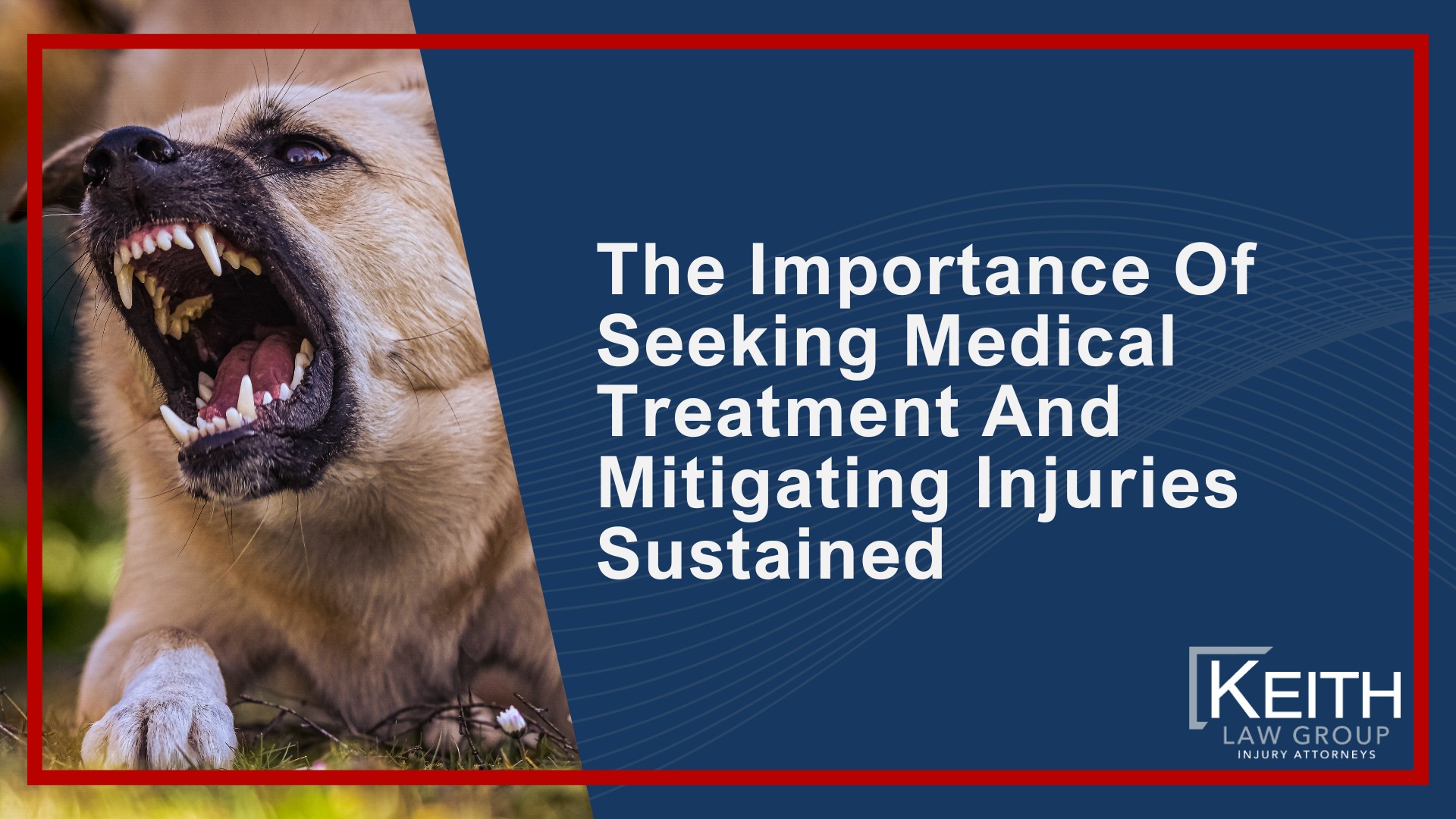 How Can Our Little Rock Dog Bite Attorney's Help You?; How Much Does It Cost To Hire a Dog Bite Attorney From Keith Law Group; Meet Our Team of Little Rock Dog Bite Attorneys; Personalized Client Care Through Dedicated Communication; What To Do After a Dog Bite in Little Rock; Gathering Evidence for a Dog Bite Claim; Assessing Damages In Your Dog Bite Lawsuit; The Importance Of Seeking Medical Treatment And Mitigating Injuries Sustained